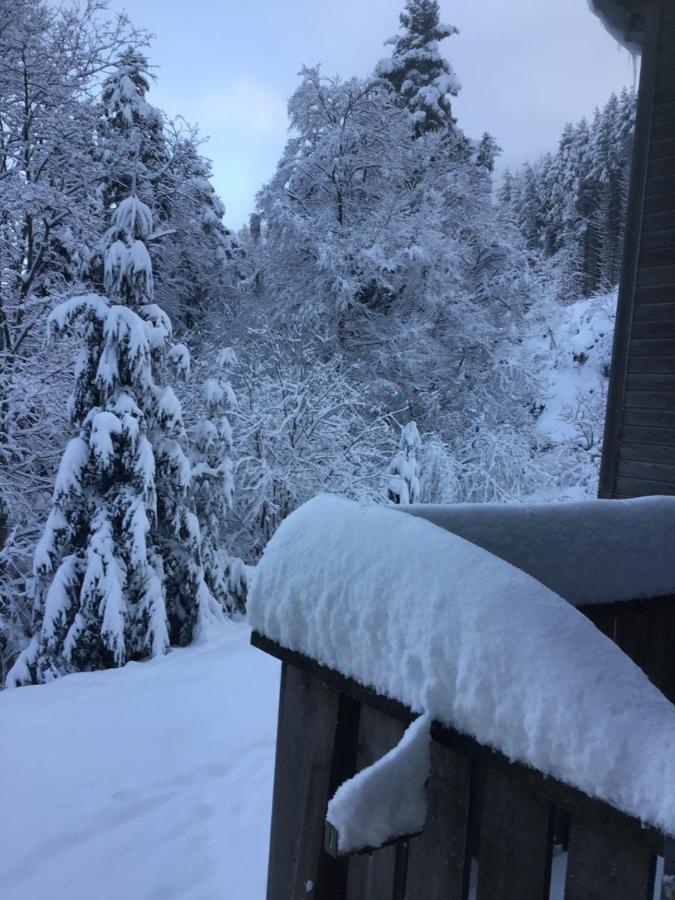 Hotel Restaurant La Fourmi Bourbach-le-Haut Zewnętrze zdjęcie