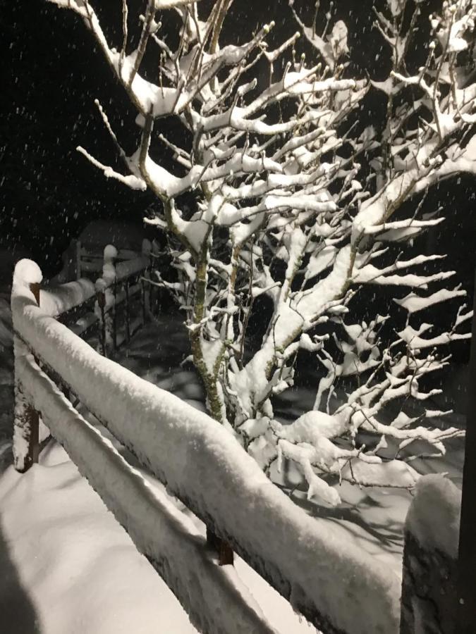 Hotel Restaurant La Fourmi Bourbach-le-Haut Zewnętrze zdjęcie